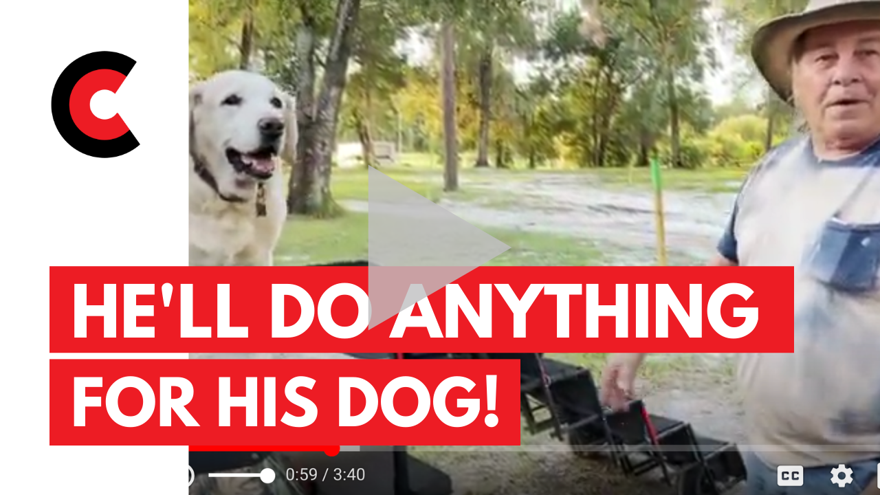 Golf Cart Stories - He'll Do Anything for His Dog