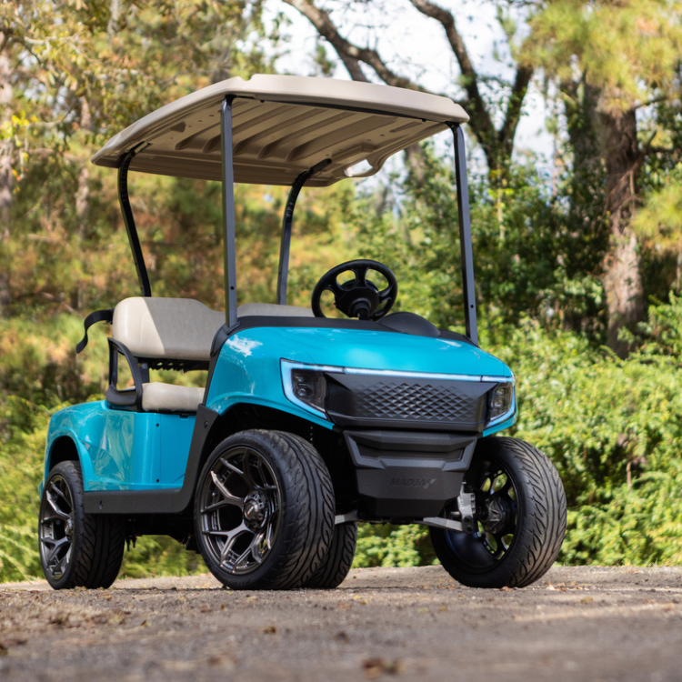 Apex EZGO RXV Body Kit from MadJax - Aqua – Converted Carts