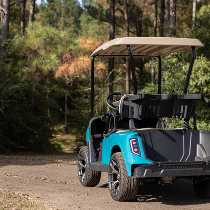 Apex EZGO RXV Body Kit from MadJax - Aqua